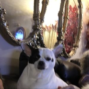 Meet your Posher, Susan